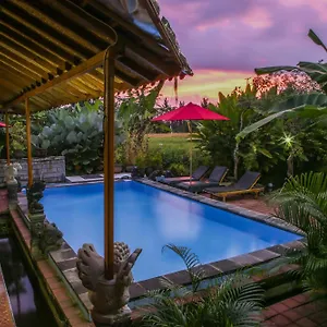Soca House Guest house